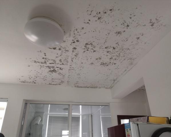 深化黨建推動引領(lǐng)，提升租戶居住幸福指數(shù)