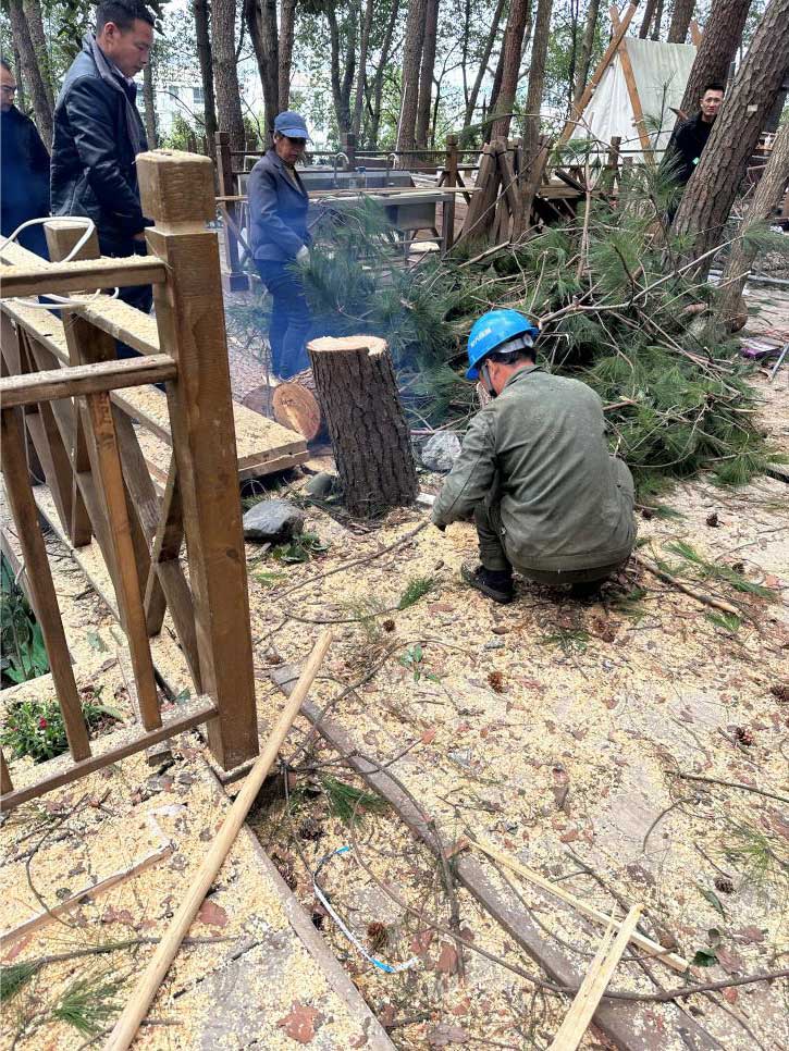 排除隱患，國(guó)資公司砍樹(shù)解民憂