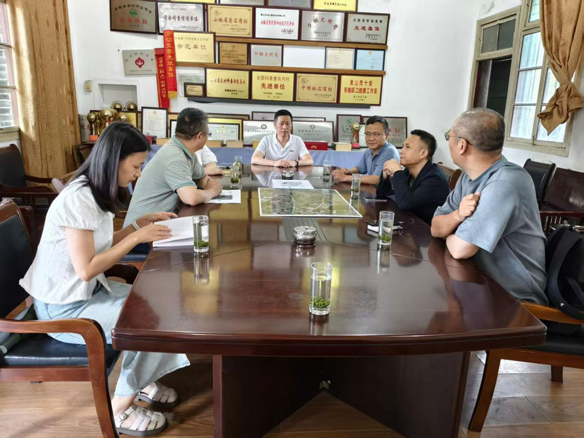 江蘇外聯(lián)采考察團(tuán)到實(shí)驗(yàn)茶場(chǎng)考察，共商茶產(chǎn)業(yè)合作新藍(lán)圖