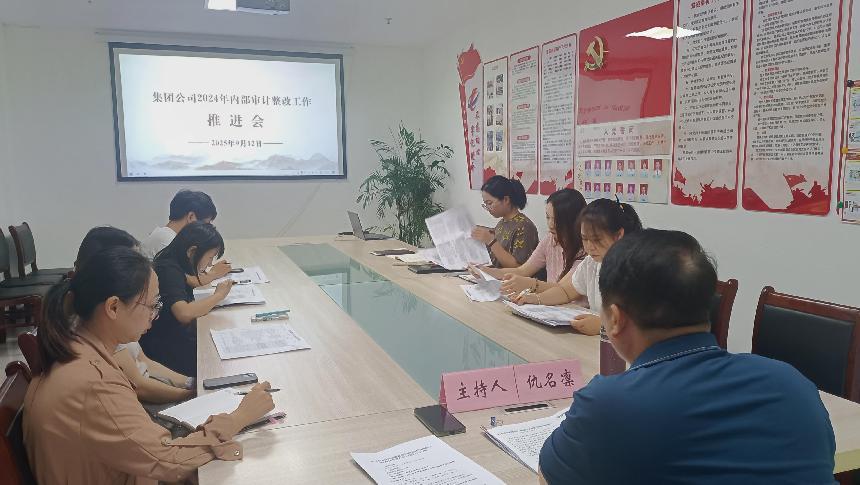 區(qū)國(guó)投集團(tuán)召開(kāi)審計(jì)工作推進(jìn)會(huì)