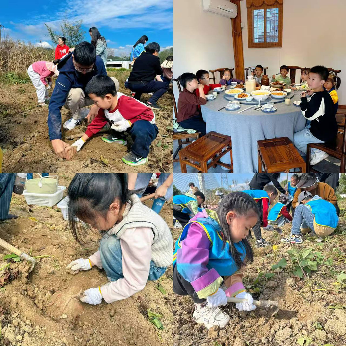 南溪南村：以薯為媒繪新景，活動(dòng)賦能興鄉(xiāng)村