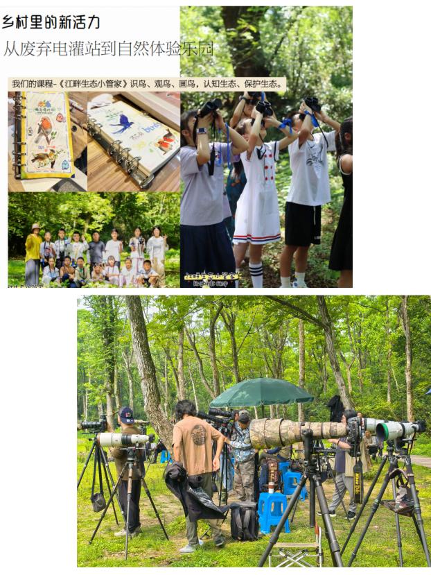 8000萬熱度炸屏！屯溪“護村小祖宗”聯(lián)動短劇頂級頭部平臺帶火綬帶鳥，短劇+文旅解鎖鄉(xiāng)村振興新密碼