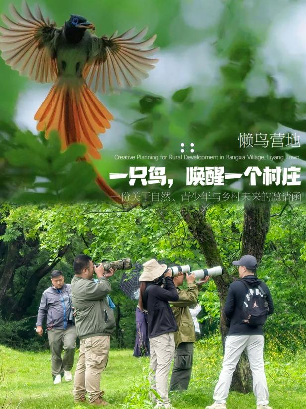 8000萬(wàn)熱度炸屏！屯溪“護(hù)村小祖宗”聯(lián)動(dòng)短劇頂級(jí)頭部平臺(tái)帶火綬帶鳥(niǎo)，短劇+文旅解鎖鄉(xiāng)村振興新密碼